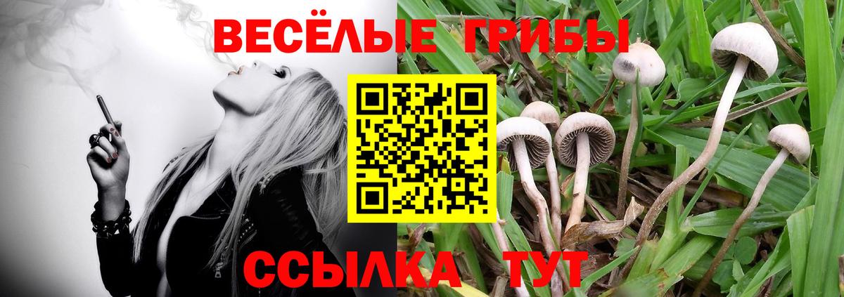 Галлюциногенные грибы прущие грибы Азнакаево